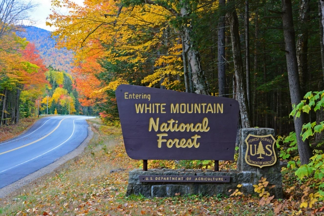 Прогулка по White Mountains State Park