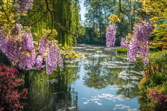 День 1. Живерні — Руан