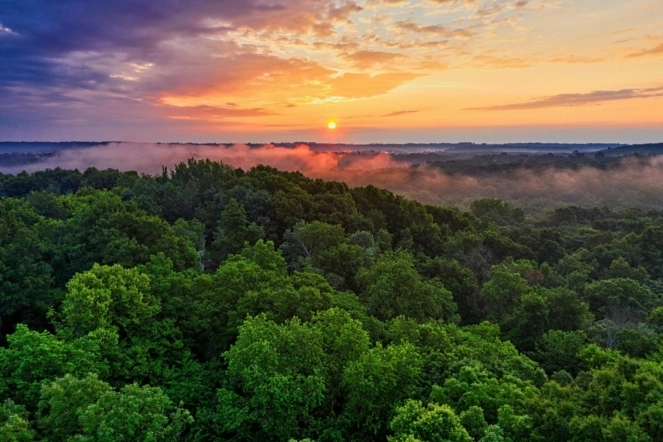 День 4. Джунглі Амазонки