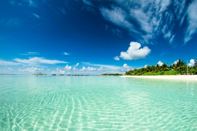 Проживание в LUX* SOUTH ARI ATOLL 5* со скидкой -45%